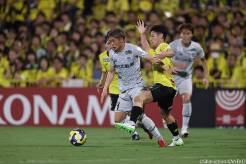 2025.08.31_37_kaneko