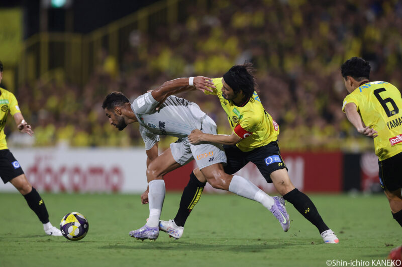 2025.08.31_54_kaneko