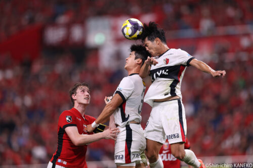 2025.09.20_53_kaneko