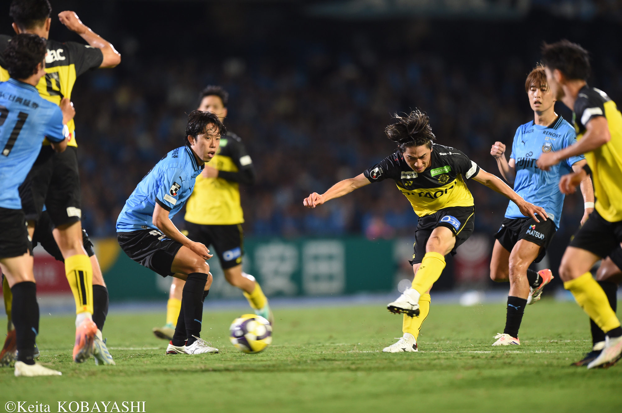 DSC_2008のコピー
