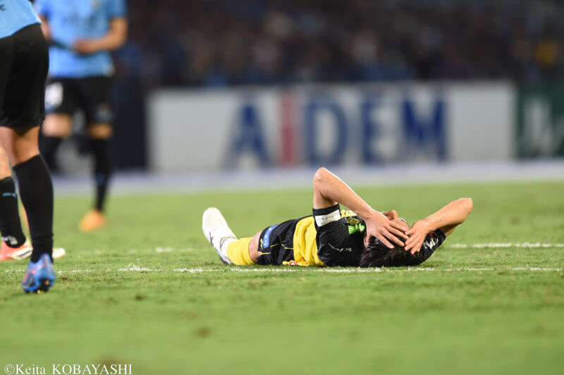 DSC_2013のコピー