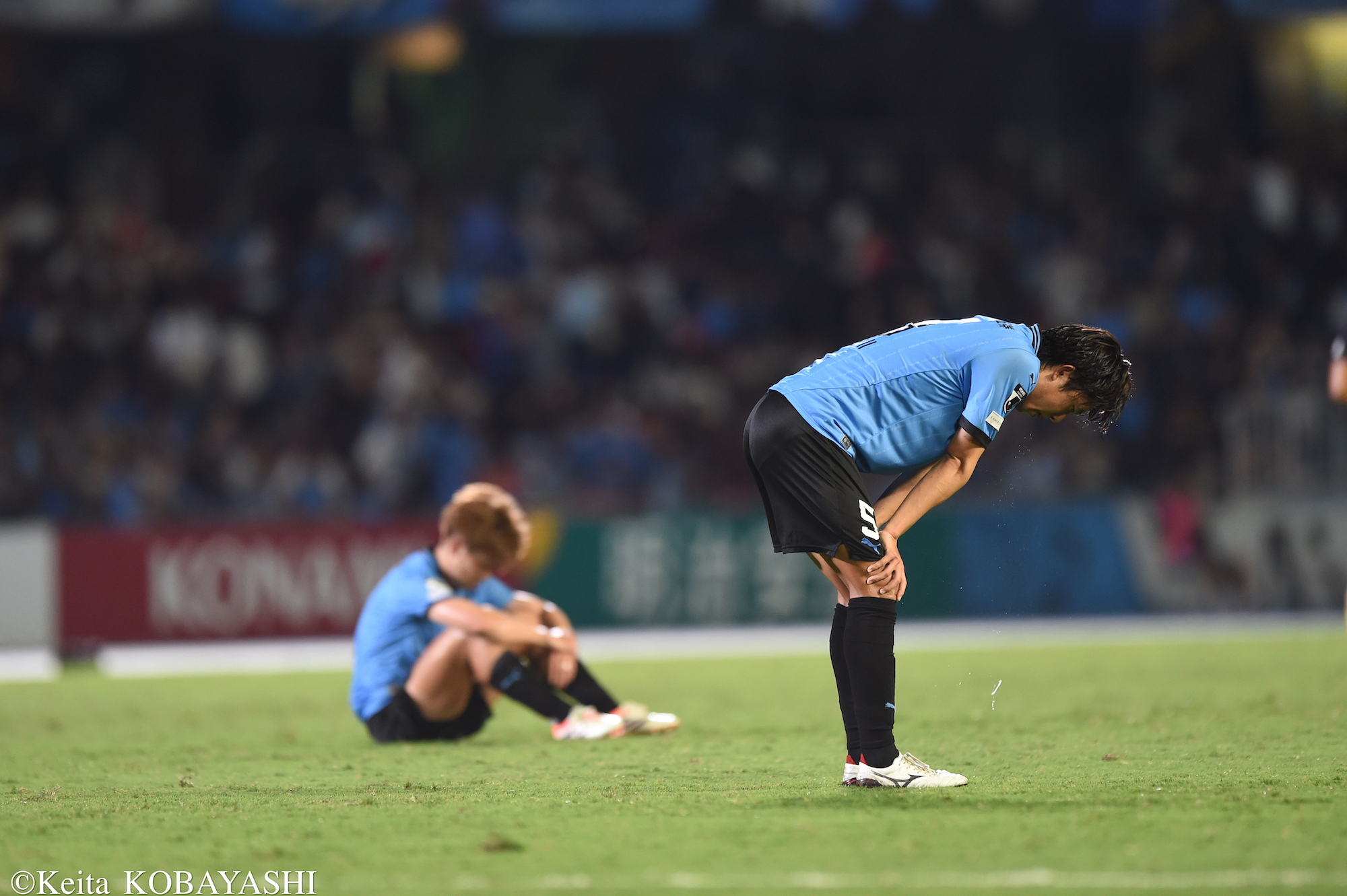 DSC_2024のコピー