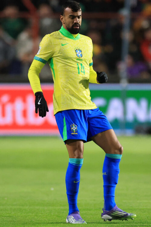 ファブリシオ・ブルーノ（ブラジル代表）のプロフィール画像