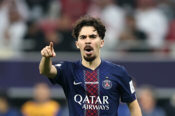 ヴィティーニャ