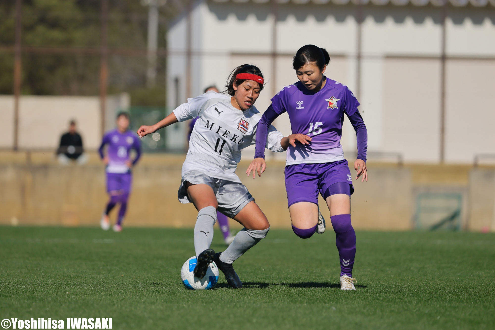 batch_097A0919