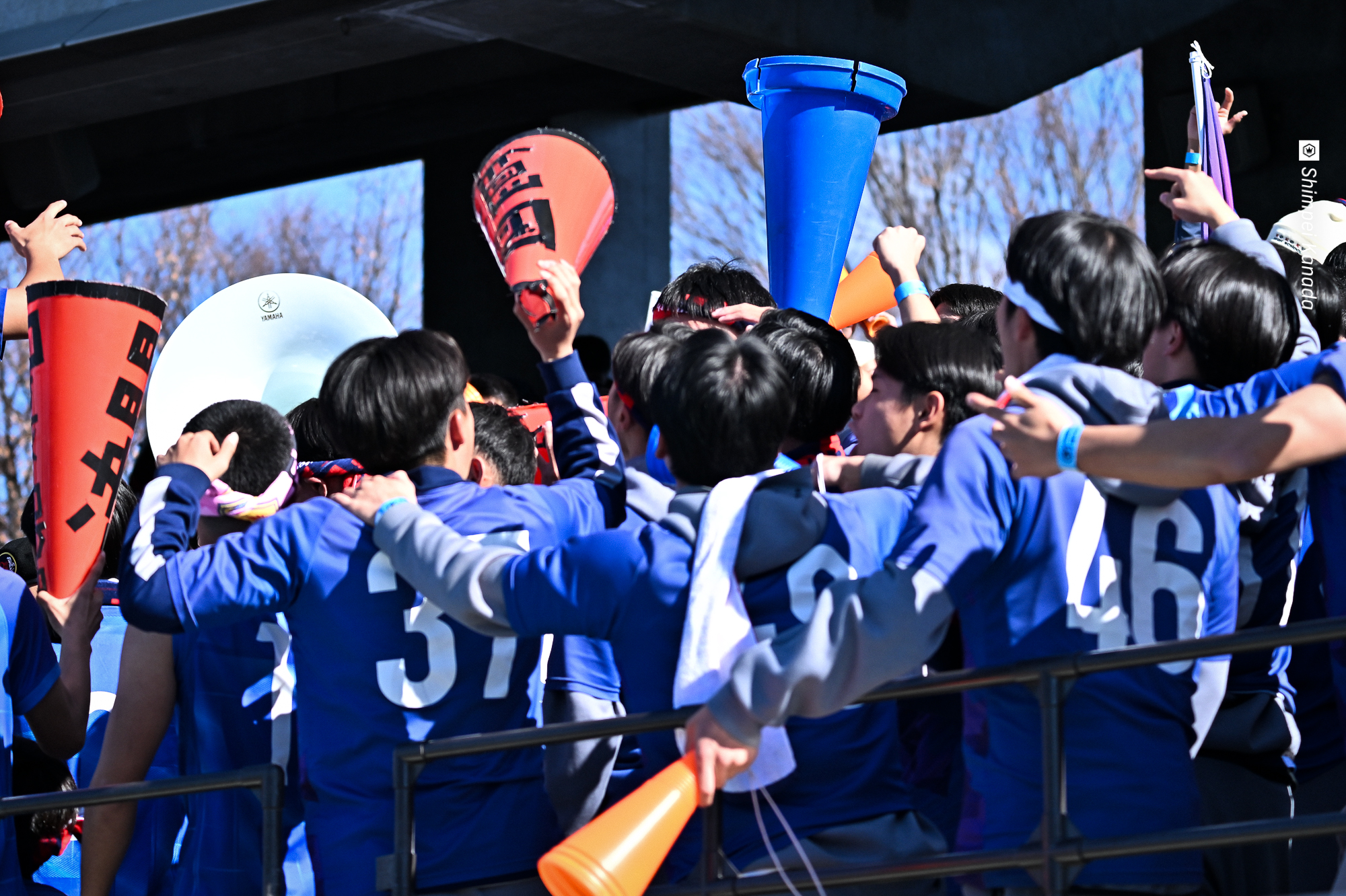 3_Z8A_0263
