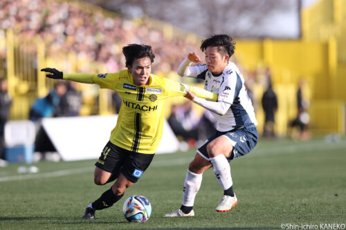 2026.01.31-2_59_kaneko