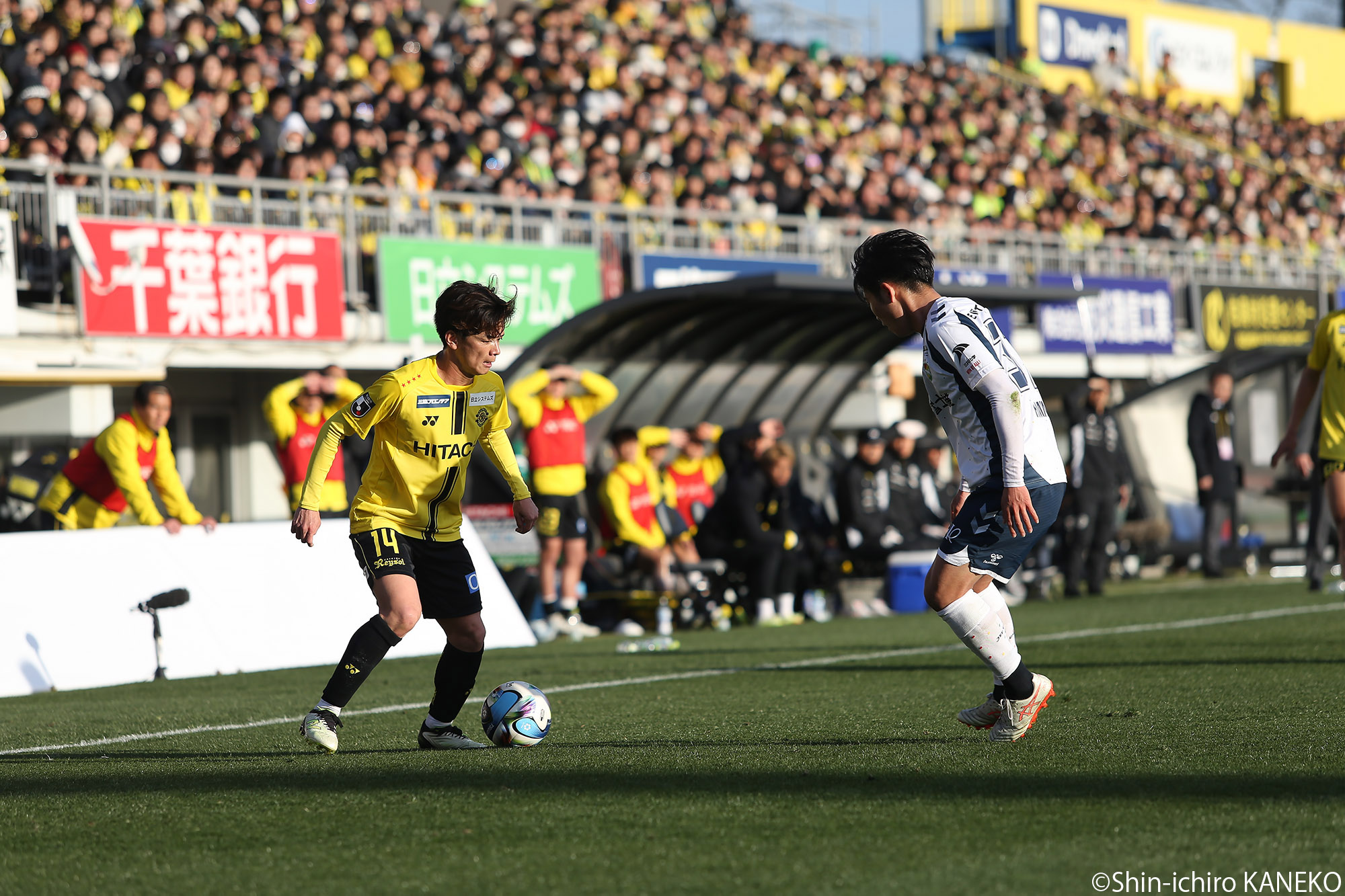 2026.01.31-2_65_kaneko