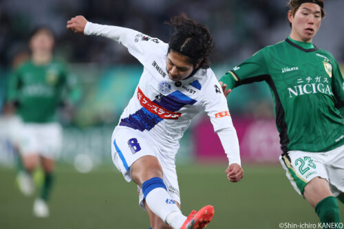 2026.02.08_41_kaneko