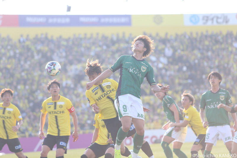 2026.02.15_50_kaneko