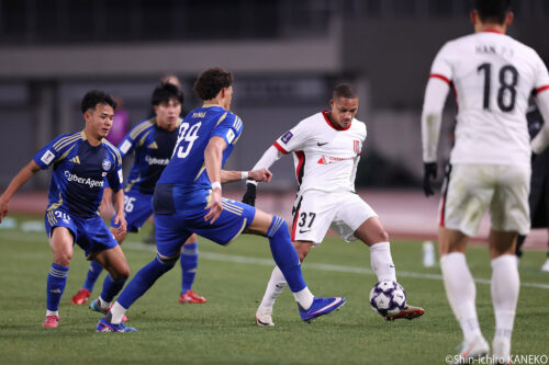 2026.02.17_43_kaneko