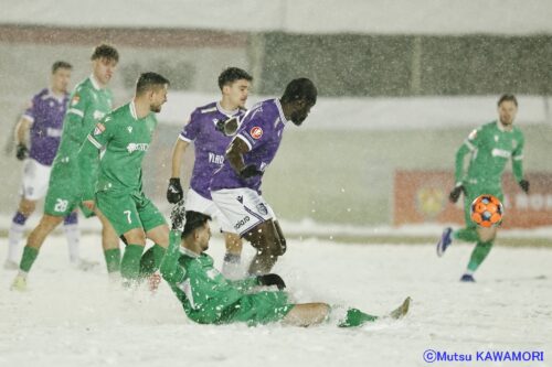 Dumbravita_Arges_260210_0009_