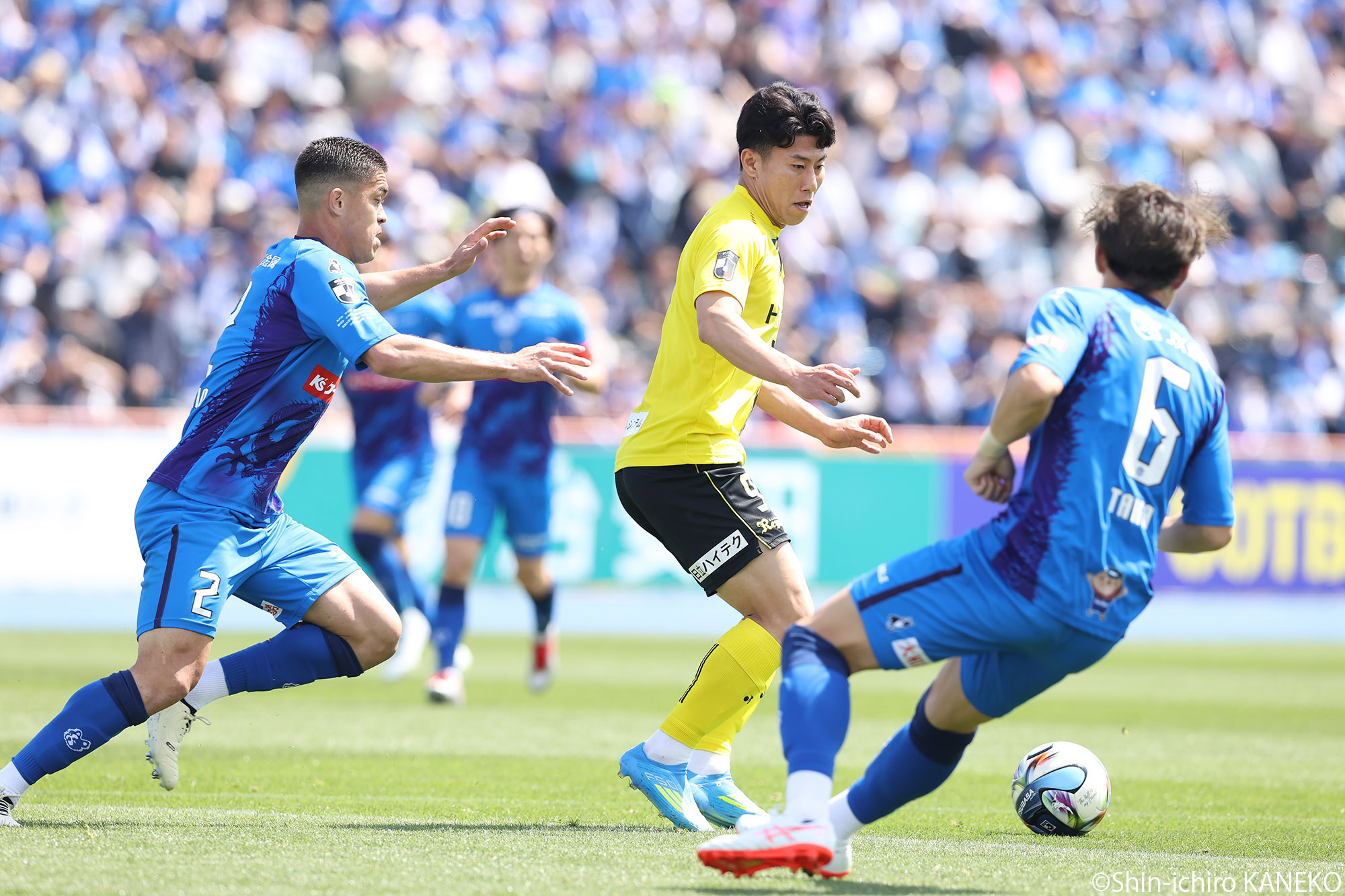 2026.04.19_06_kaneko