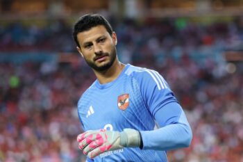 モハメド・エル・シェナウィ