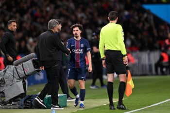 ヴィティーニャ