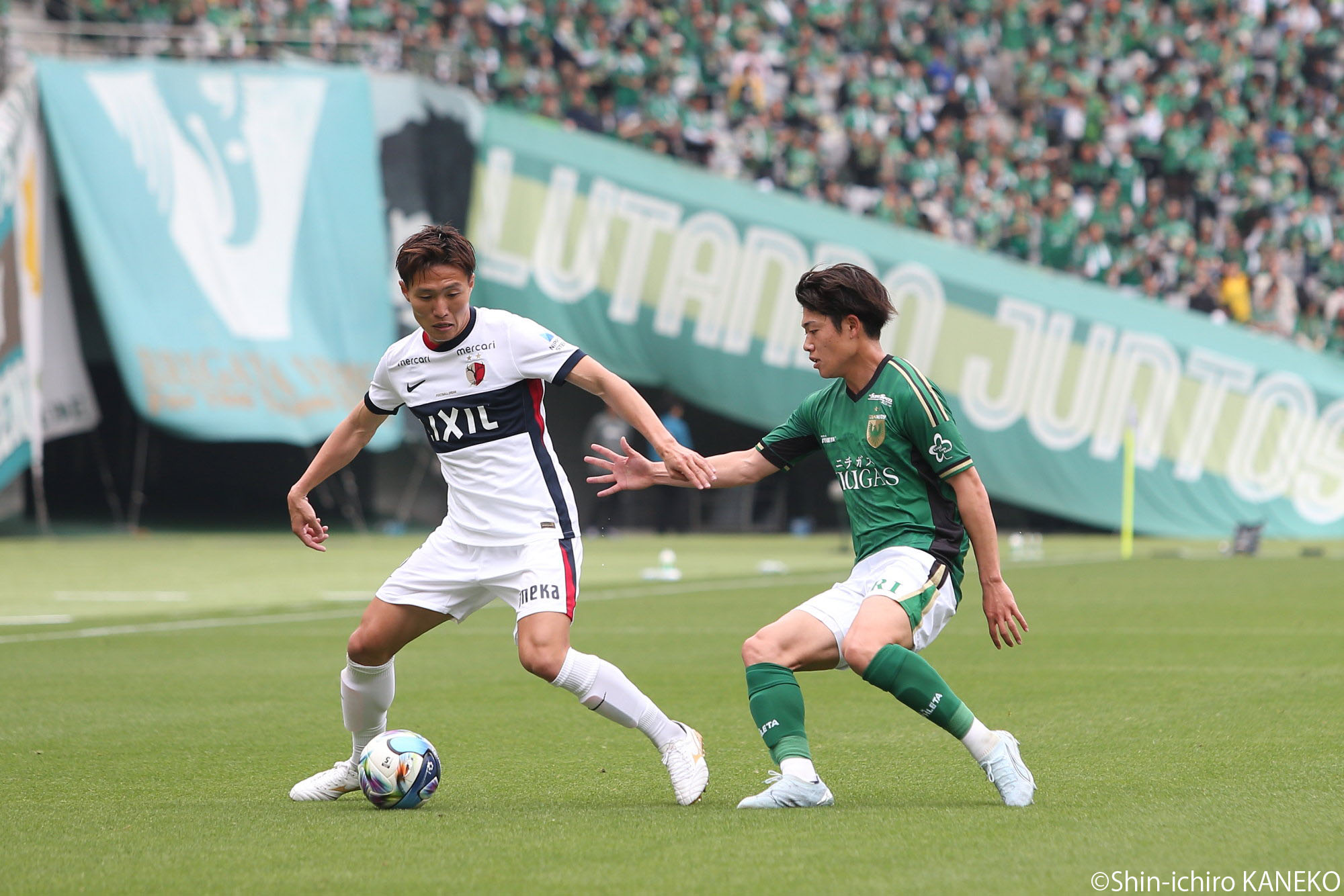 2026.04.29_06_kaneko